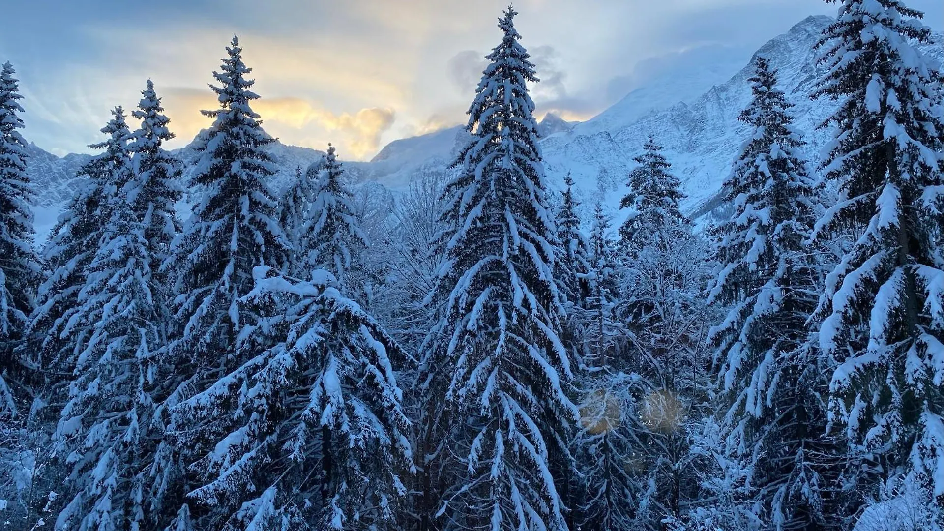 Chalet Des Eaux Rousses -Renove -Prive - Vues 360 Mont Blanc Les Houches 0*,  France